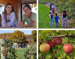 Phillips Farms Market