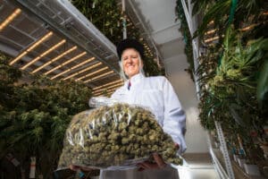 Strobe portrait of a woman working at a large scale industrial cannabis growing operation, standing in the aisle between two tiered racks of marijuana plants under LED lights in a hydroponic grow room.