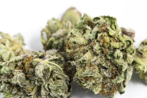 Close-up shot of dry marijuana buds from cannabis plant against white background.