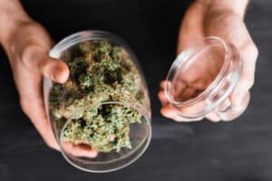 A can with fresh buds of cannabis in the hands of a man. The concept of legal marijuana is medical weed. On a black background. Top view use sbd