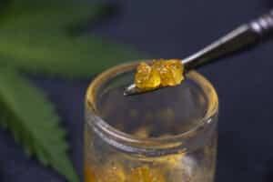 Macro detail of cannabis concentrate live resin extracted from medical marijuana on a dabbing tool