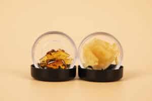 yellow extract wax from cannabis buds in container, marijuana thc distillate.