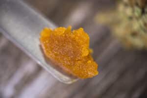 Macro detail of cannabis concentrate live resin (extracted from medical marijuana) isolated over white on a dabbing tool