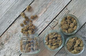 Dry and trimmed cannabis buds stored in a glas jars on a wooden table