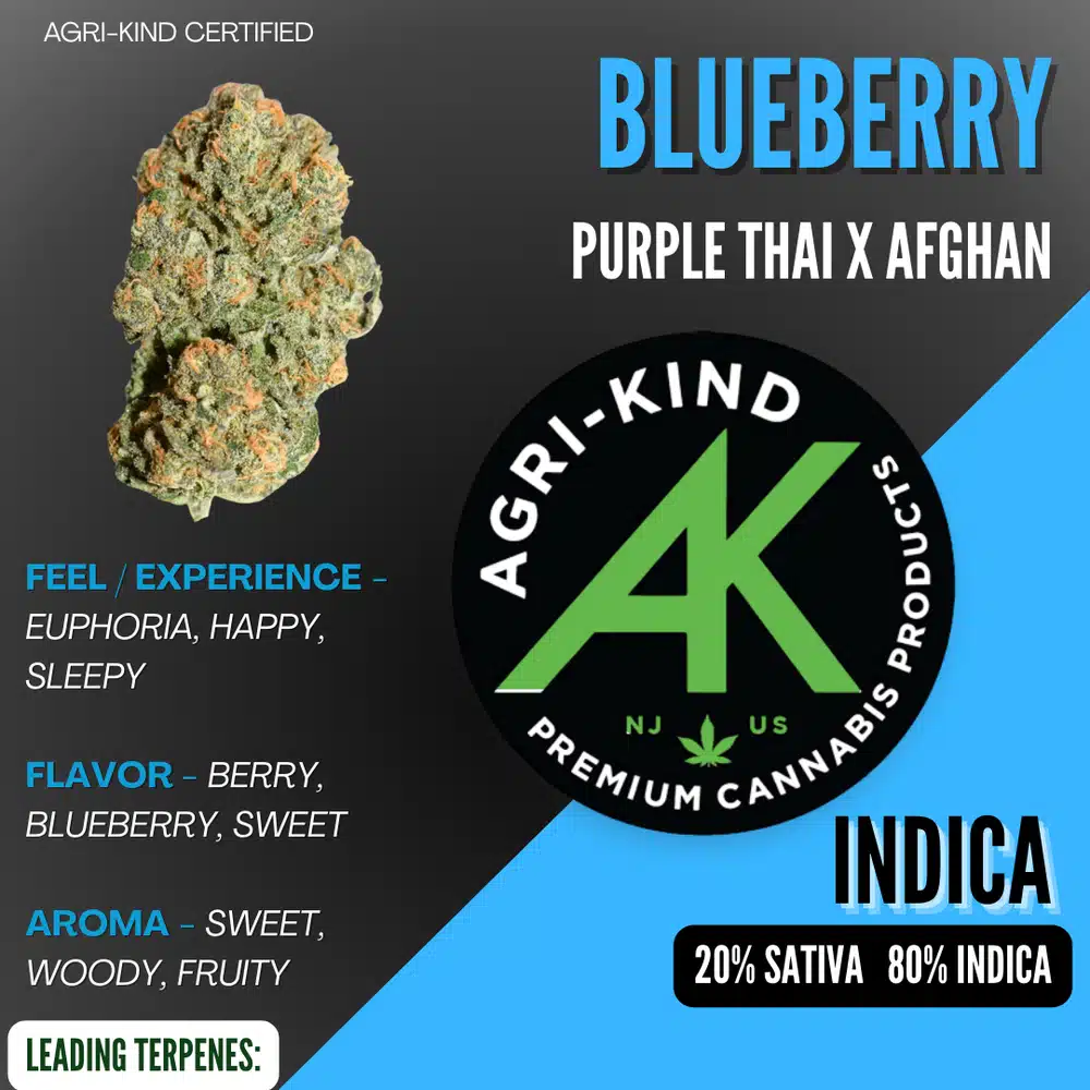 blueberry by agri-kind