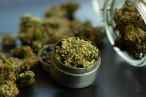 Legal use of cannabis for medical purposes. Marijuana bud background, weed in grinder and jar close up.