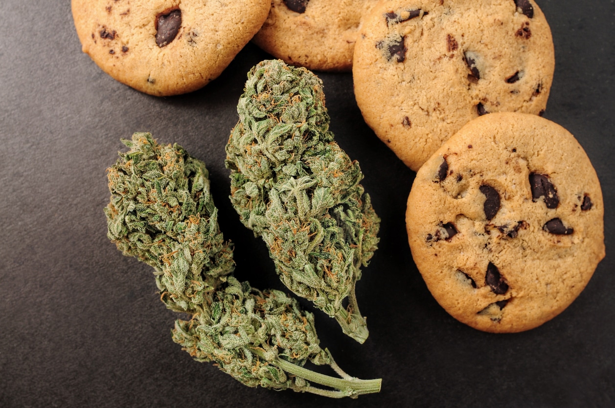 Sweets with CBD oil. Marijuana buds on black background. Cannabis flowers and chocolate cookies close-up. Top view, flat lay.