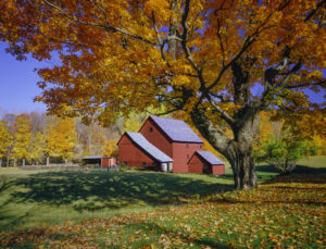Autumn country side with rolling hills in Vermont with old weathered barn